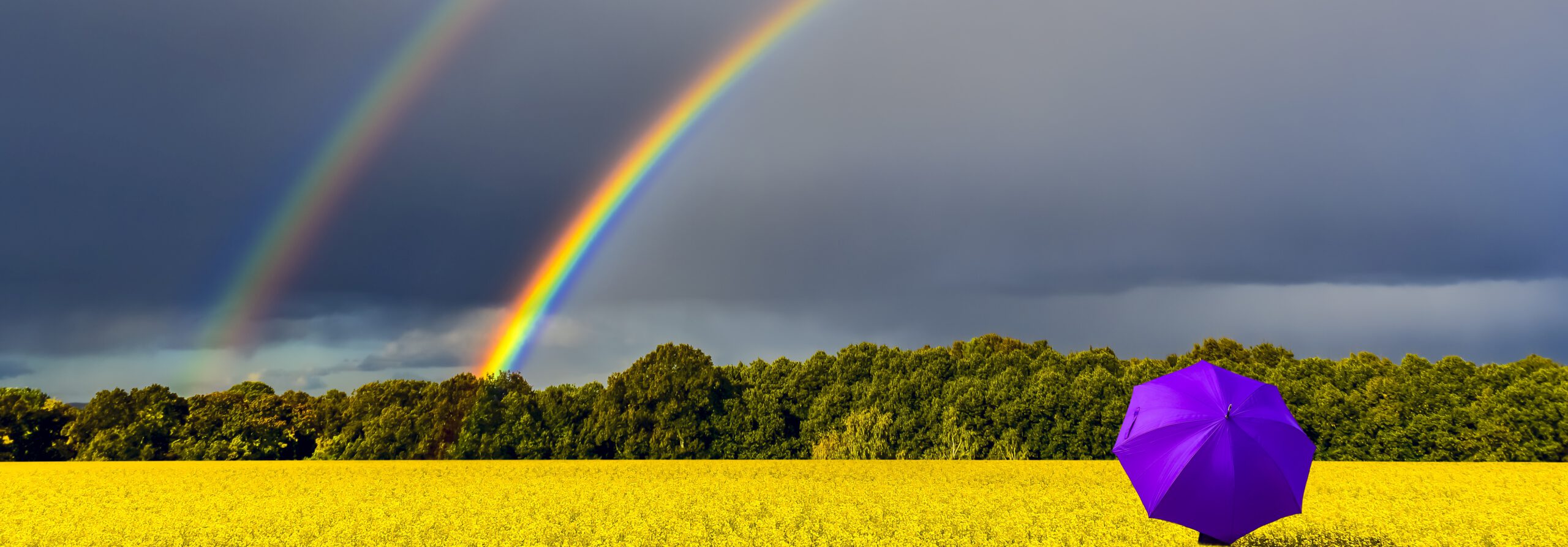 Fragen zu MBCT | Anmeldung MBCT-Onlinekurs | Psychologische Praxis Frankfurt | Hypnose Frankfurt | Onlinehypnose | EMDR | MBCT | MBSR | Psychotherapie